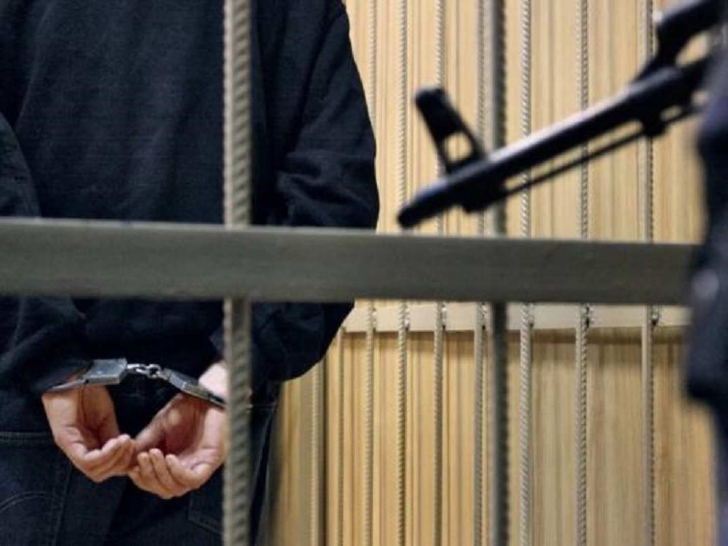 Суд приговорил к 15 годам колонии обвиняемую в шпионаже Карину Цуркан